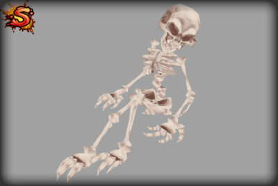 skeleton decoration unity 3d sauce